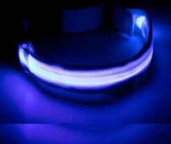 Honden Halsband Led Verlichting – Reflecterende Hals Band - Reflective Dog Collar Led Lights -Huisdierbenodigdheden 1200x1005 12
