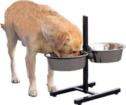 Merkloos H-Standaard Hamerslag Met Rvs Bakken 21 Cm -Huisdierbenodigdheden 1200x1005 6