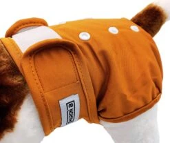 Loopsheidbroekje Hond - Bruin - Maat XL - Voor Grote Honden - Herbruikbaar - Hondenbroekje - Hondenluier - Loopsheid - Ongesteldheid - Voorkomt Ongewenste Zwangerschappen Bij Teefjes - Milieuvriendelijk - Verantwoord - Perfecte Pasvorm -Huisdierbenodigdheden 1200x1007 11