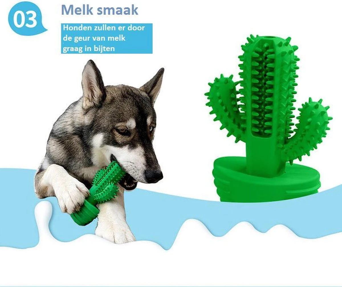 Tandenborstel + TANDPASTA Hond Melk Geur Smaak En Piep Honden Speelgoed - Cactus Dog Toy Tandverzorging Kauwbotten Hondenspeelgoed Hondenbot Kauwstaaf Tanden Puppy Hondenspeeltje Sterk Kauwspeelgoed - Dutchwide 4 Tandenborstel + TANDPASTA Hond Melk Geur Smaak En Piep Honden Speelgoed - Cactus Dog Toy Tandverzorging Kauwbotten Hondenspeelgoed Hondenbot Kauwstaaf Tanden Puppy Hondenspeeltje Sterk Kauwspeelgoed - Dutchwide - Afbeelding 4