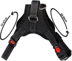 PetsPro Hondentuigje - Maat L - Anti Trek Honden Harnas - Honden Tuig - Tot 40 Kg - Nek Omvang: 55-67 Cm Borst Omvang: 68-86 Cm -Huisdierbenodigdheden 1200x1016 4