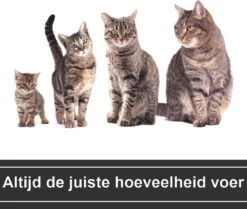 Automatische Voerbak Kat En Hond Zwart - Met Verstelbare Camera - Voerautomaat Met Smartphone Besturing - Voerinhoud 6 Liter - Voerdispenser - Zedar A900 -Huisdierbenodigdheden 1200x1017 1