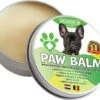 100% Natuurlijke Potenbalsem - Paw Balm - Voor Honden - Van 10-20 Kg - Beschermt Voetzooltjes - Tegen Kloven, Wondjes, Ontstekingen - Made In Holland