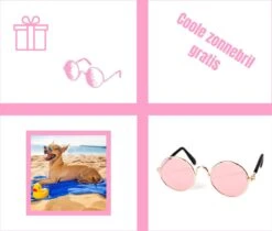 Pepets© – Hondenhanddoek – Honden Handdoek – Microvezel Handdoek – Handdoek Hond – Hondendeken – Droogdoek Hond – Dierendeken – Absorberend – 100*50CM - Beige - GRATIS Zonnebril -Huisdierbenodigdheden 1200x1018