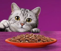 Whiskas 7+ Natvoer - Classic - Selectie In Saus - Maaltijdzakjes 48 X 85 G -Huisdierbenodigdheden 1200x1019 10