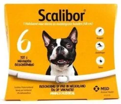 MSD Intervet Tekenband Scalibor Grote Rassen - Large (65 Cm) -Huisdierbenodigdheden 1200x1023 1