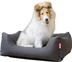 Snoozle Hondenmand - Zacht En Luxe Hondenkussen - Hondenbed - Wasbaar - Hondenmanden - 80 X 60cm