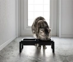 Yamazaki Eetbak - Voederbak Kat - Tweeledig - Zwart -Huisdierbenodigdheden 1200x1025 14