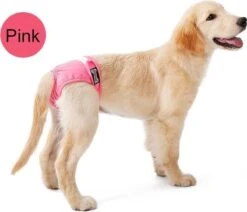 Loopsheidbroekje - Roze - L - Hondenbroekje - Loopsheid - Diverse Maten - Voor Grote En Kleine Honden -Huisdierbenodigdheden 1200x1030 8