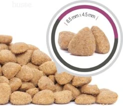 Husse Exclusive Katt Sterilised - Kattenvoer -7 Kg 10 Husse Exclusive Katt Sterilised - Kattenvoer -7 Kg -Huisdierbenodigdheden 1200x1033 2