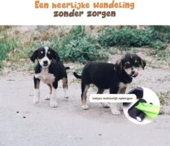 Dubbele Honden Riem – Leiband Hond – Hondenlijn – Looplijn Hond – 2 Honden – 3 Meter – Tot 12kg Per Hond – Reflecterende Lijnen – Met Zaklamp – 360° Draaien – Verstelbaar - Zwart 14 Dubbele Honden Riem – Leiband Hond – Hondenlijn – Looplijn Hond – 2 Honden – 3 Meter – Tot 12kg Per Hond – Reflecterende Lijnen – Met Zaklamp – 360° Draaien – Verstelbaar - Zwart -Huisdierbenodigdheden 1200x1035