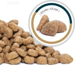 Husse Opus Lynx Senior Graanvrij Kattenvoer - 7 Kg 8 Husse Opus Lynx Senior Graanvrij Kattenvoer - 7 Kg -Huisdierbenodigdheden 1200x1036 8