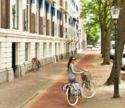 Basil Dorset Fietsmand L - Voor - Rotan - Grijs - Large -Huisdierbenodigdheden 1200x1037 2