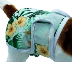 Loopsheidbroekje Hond - Bloemenprint - Maat M - Voor Middelgrote Honden - Herbruikbaar - Hondenbroekje - Hondenluier - Loopsheid - Ongesteldheid - Voorkomt Ongewenste Zwangerschappen Bij Teefjes - Milieuvriendelijk - Verantwoord - Perfecte Pasvorm -Huisdierbenodigdheden 1200x1037 4