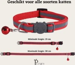 Petsify - Kattenhalsband Met Belletje - Veiligheidssluiting - Reflecterend - Halsband Kat - Halsband Kitten - Set Van 11 -Huisdierbenodigdheden 1200x1038 7