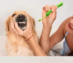 Merkloos Tandenborstel - Voor Huisdieren - Honden - 3 Zijdig - Multi-Hoek - Schoonmaken - Tanden - Slechte Adem - Tandsteen - Tandenborstel - Gezondheid - Blauw -Huisdierbenodigdheden 1200x1042 6