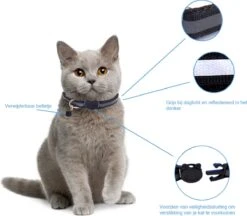 Kattenhalsband Veiligheidssluiting Kattenbandje Kitten Halsband Katten Halsband Reflecterend Verstelbaar 18-32Cm – Zwart -Huisdierbenodigdheden 1200x1047 11