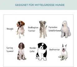 PawHut Hondenbox Inklapbare Hondentransportbox Dier 2 Kleuren 5 Maten 1O-T46O-R3DG-2 16 PawHut Hondenbox Inklapbare Hondentransportbox Dier 2 Kleuren 5 Maten 1O-T46O-R3DG-2 -Huisdierbenodigdheden 1200x1051 7