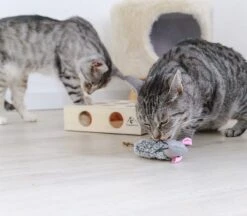 Pfotenolymp® Interactief Kattenspeelgoed / Speeldoos Met Speelballen & Speelmuis - Houten Speelgoed Voor Katten - Mollenspel / Vangspel / Jachtspel 10 Pfotenolymp® Interactief Kattenspeelgoed / Speeldoos Met Speelballen & Speelmuis - Houten Speelgoed Voor Katten - Mollenspel / Vangspel / Jachtspel -Huisdierbenodigdheden 1200x1051 8