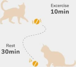 Cheerble Mini Ball 2.0 - Slimme Interactieve Zelf Rollende Bal Voor Katten - 3 Speelmodi - Kattenspeeltjes - USB Oplaadbaar - Rood -Huisdierbenodigdheden 1200x1051 9