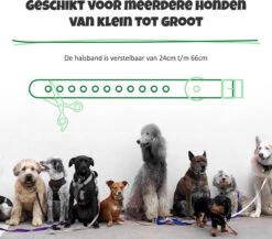 Anti Blafband Met Afstandsbediening - Blafband Voor Honden - Anti Blaf Apparaat Zonder Schok - Twee In Een Trainingshalsband 15 Anti Blafband Met Afstandsbediening - Blafband Voor Honden - Anti Blaf Apparaat Zonder Schok - Twee In Een Trainingshalsband -Huisdierbenodigdheden 1200x1055