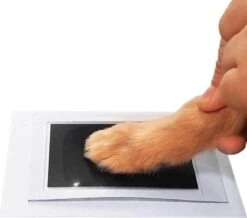 PrintMe - Paw Print Pad - Groter Formaat - Pootafdruk Maken Van Hond Of Kat - Zeer Gemakkelijk - Verbeterd Formaat! - Geen Inkt Op De Poot Van Uw Huisdier- Groot - Leuk Als Cadeau! -Huisdierbenodigdheden 1200x1060 4