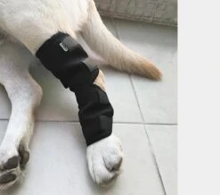 Honden Brace Volledige Voorpoot Of Achterpoot - Sterk Steungevend - Small - Zwart -Huisdierbenodigdheden 1200x1060 7