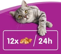 Whiskas Temptations Kattensnacks - Kip En Kaas - 8 X 60 Gr 10 Whiskas Temptations Kattensnacks - Kip En Kaas - 8 X 60 Gr -Huisdierbenodigdheden 1200x1064 10