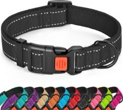 Halsband Hond - Reflecterend - Zwart - Maat M - Oersterk - Waterdicht - Hondenhalsband - Met Veiligheidssluiting - Geschikt Voor Iedere Hondenriem - Voor Middelgrote Honden