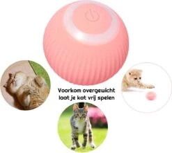 Otiume Slimme Katten Speeltje - Interactieve Zelf Rollende Bal Voor Katten - Kattenspeeltjes - USB Oplaadbaar- Turquoise -Huisdierbenodigdheden 1200x1072 8