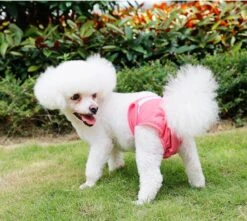 Loopsheidbroekje Hond - Roze - Maat M - Hondenbroekje - Loopsheid Teef - Hondenluier - Wasbaar -Huisdierbenodigdheden 1200x1076 9