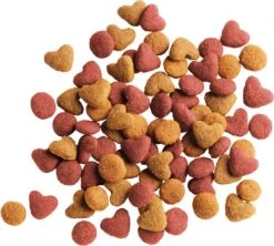 Lara Kitten (2 KG) -Huisdierbenodigdheden 1200x1080 9