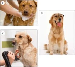 Waterblazer Hond - Hondendroger -Huisdierbenodigdheden 1200x1083