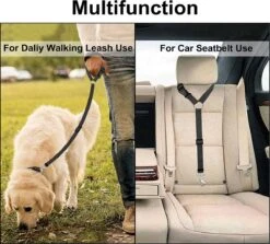 Merkloos Autogordel Voor Hond - Hondengordel Voor In De Auto – Verstelbare Hondengordel - Veiligheid Voor Hond – Hondenriem - Zwart -Huisdierbenodigdheden 1200x1083 7