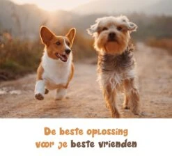 Dubbele Honden Riem – Leiband Hond – Hondenlijn – Looplijn Hond – 2 Honden – 3 Meter – Tot 12kg Per Hond – Reflecterende Lijnen – Met Zaklamp – 360° Draaien – Verstelbaar - Zwart 17 Dubbele Honden Riem – Leiband Hond – Hondenlijn – Looplijn Hond – 2 Honden – 3 Meter – Tot 12kg Per Hond – Reflecterende Lijnen – Met Zaklamp – 360° Draaien – Verstelbaar - Zwart -Huisdierbenodigdheden 1200x1087 5