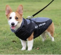 Nixnix - Honden Jas - Maat 4XL - Hondenjas - Kleine Hond - Grote Hond - Waterafstotend - Gevoerd Met Rits - Warme Hondenjas -Huisdierbenodigdheden 1200x1089 9