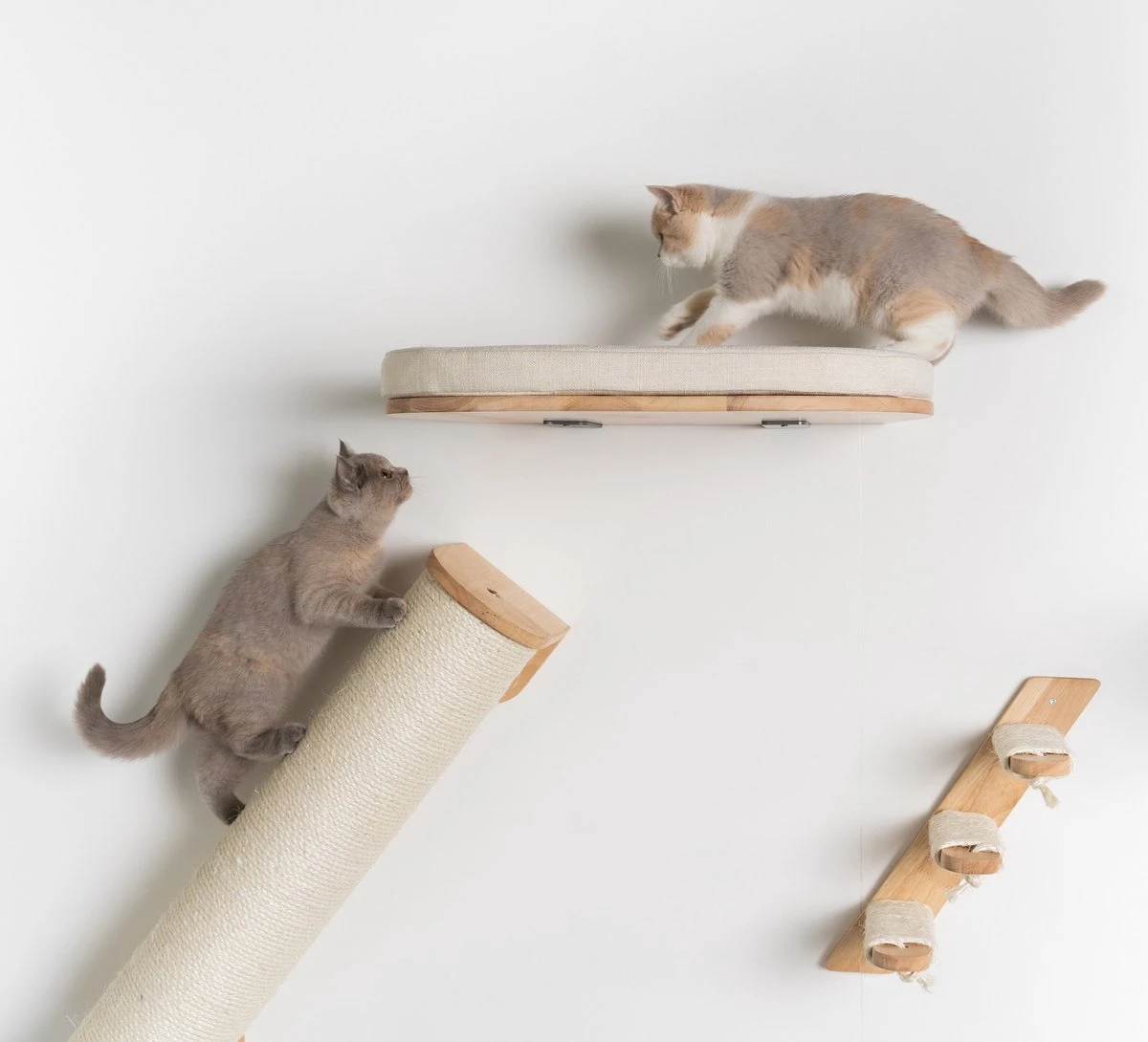 RHRQuality Wandmeubel Wandmontage Klimmuur Kat 53 X 43cm Luxe Kattenbed Creme Wand Muur Krabpaal Katten Muurbevestiging 7 RHRQuality Wandmeubel Wandmontage Klimmuur Kat 53 X 43cm Luxe Kattenbed Creme Wand Muur Krabpaal Katten Muurbevestiging - Afbeelding 7