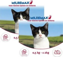 Elanco Milbemax Kitten & Kat - Anti Wormenmiddel - 2 X 2 Tab 0.5 Tot 2 Kg -Huisdierbenodigdheden 1200x1092 11