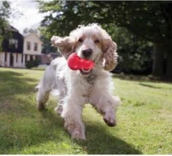 Kong Kauwbot - Hondenspeelgoed - Rood - M -Huisdierbenodigdheden 1200x1092 8