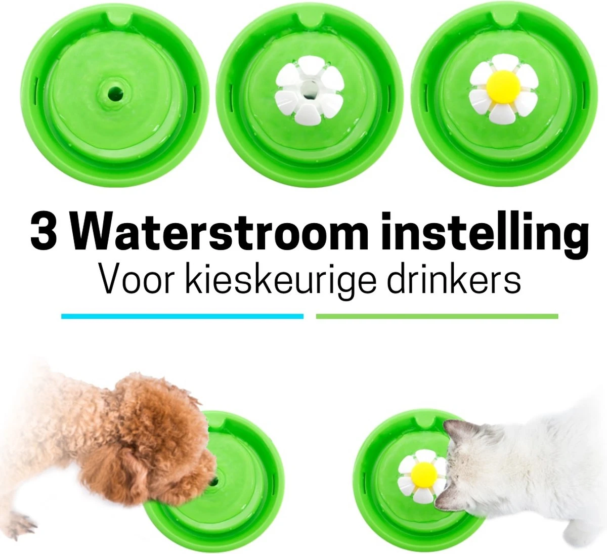 Waterfontein Kat & Hond - Drinkfontein - Waterfilter - 1.6L Inhoud - Waterbak En Waterfontein - Drinkbak - Kat - Waterdispenser 5 Waterfontein Kat & Hond - Drinkfontein - Waterfilter - 1.6L Inhoud - Waterbak En Waterfontein - Drinkbak - Kat - Waterdispenser - Afbeelding 5