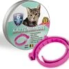 100% Biologische Vlooienband - Katten - Roze - Zonder Fipronil, Flumetrine, Imidaclorid Of Diazinon - Vlooien En Teken - Milieuvriendelijk - Kattenbandje