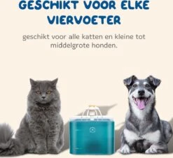 Pawwy® Drinkfontein Kat & Hond – Kattenfontein – Waterfontein Incl. 2 Filters En Schoonmaak Kit - 2 Liter - Groen -Huisdierbenodigdheden 1200x1096 3
