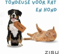 Hondentondeuse - Hondentrimmer - Dieren Tondeuse - Draadloos - 4 Opzetkammen - INCLUSIEF SNACKJE - Zwart -Huisdierbenodigdheden 1200x1098 1
