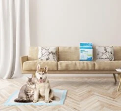 Nobleza 48DHD - Puppy Training Pads - 60 X 40 Cm - Zindelijkheidstraining - 50 Stuks -Huisdierbenodigdheden 1200x1105 2