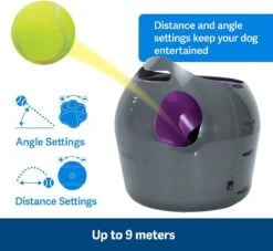 PetSafe Automatische Ballenwerper - Dierenspeelgoed -Huisdierbenodigdheden 1200x1105