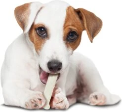 Nylabone Harde Bijters Kluif - Kip - Voor Honden Tot 30 Kg -Huisdierbenodigdheden 1200x1107 9