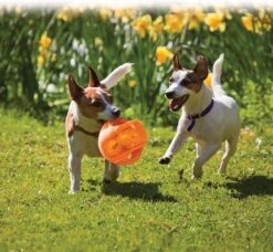 Kong Jumbler Ball - Assorti Hondenspeelgoed - L/XL - Ø18 Cm -Huisdierbenodigdheden 1200x1108 5