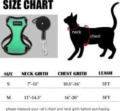 Kattentuigje Met Leiband Riem Kattenharnas Groen Maat M Kat & Kitten - Dieren Kattenriem - Cat Leash - Halsomvang 20 Tot 26cm - Borstomvang 30 Tot 34cm - Zootic® -Huisdierbenodigdheden 1200x1110 10