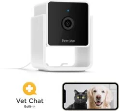 Petcube Pet Camera 1080p Hd Video Night Vision - IP Camera's - Wit -Huisdierbenodigdheden 1200x1111 2