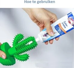 Tandenborstel + TANDPASTA Hond Melk Geur Smaak En Piep Honden Speelgoed - Cactus Dog Toy Tandverzorging Kauwbotten Hondenspeelgoed Hondenbot Kauwstaaf Tanden Puppy Hondenspeeltje Sterk Kauwspeelgoed - Dutchwide 19 Tandenborstel + TANDPASTA Hond Melk Geur Smaak En Piep Honden Speelgoed - Cactus Dog Toy Tandverzorging Kauwbotten Hondenspeelgoed Hondenbot Kauwstaaf Tanden Puppy Hondenspeeltje Sterk Kauwspeelgoed - Dutchwide -Huisdierbenodigdheden 1200x1113 8